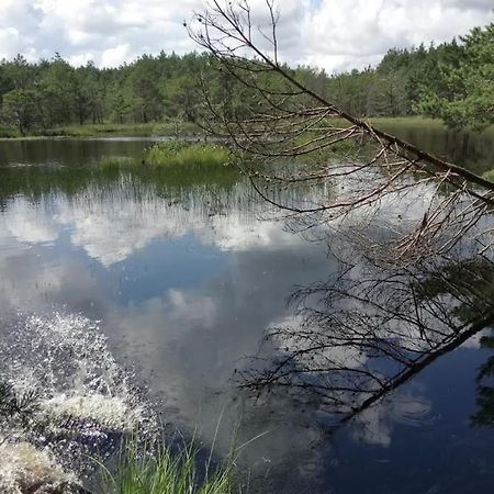 Ostoja Sosnowa Czarny Mlyn, Kompleks Dwoch Nowych Domkow Exteriér fotografie