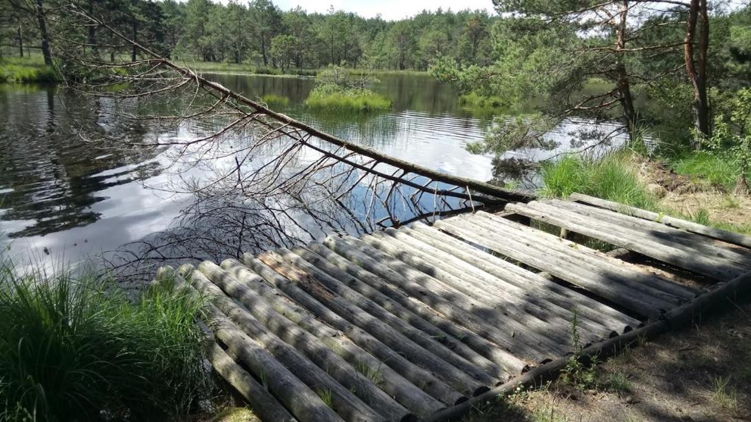 Ostoja Sosnowa Czarny Mlyn, Kompleks Dwoch Nowych Domkow Exteriér fotografie